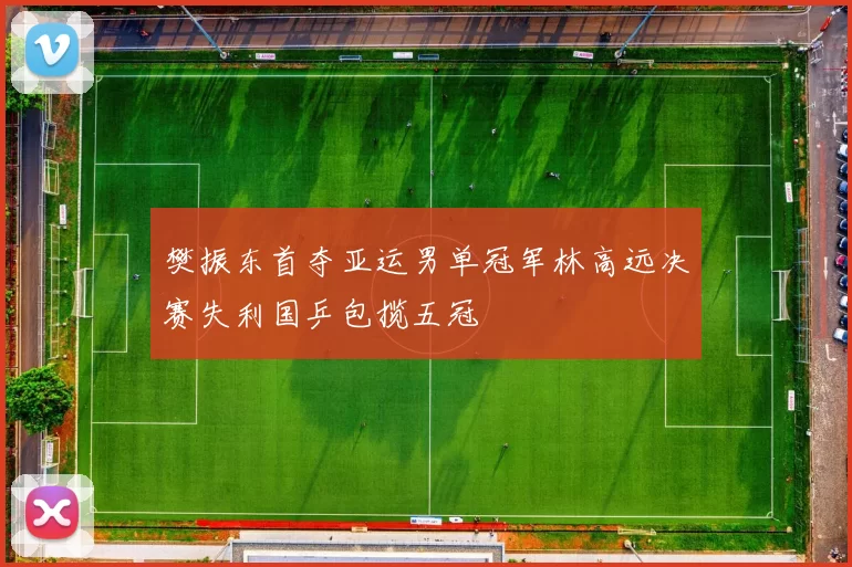 樊振东首夺亚运男单冠军林高远决赛失利国乒包揽五冠