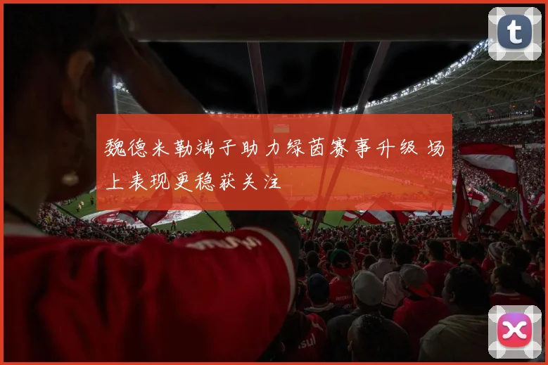 魏德米勒端子助力绿茵赛事升级 场上表现更稳获关注