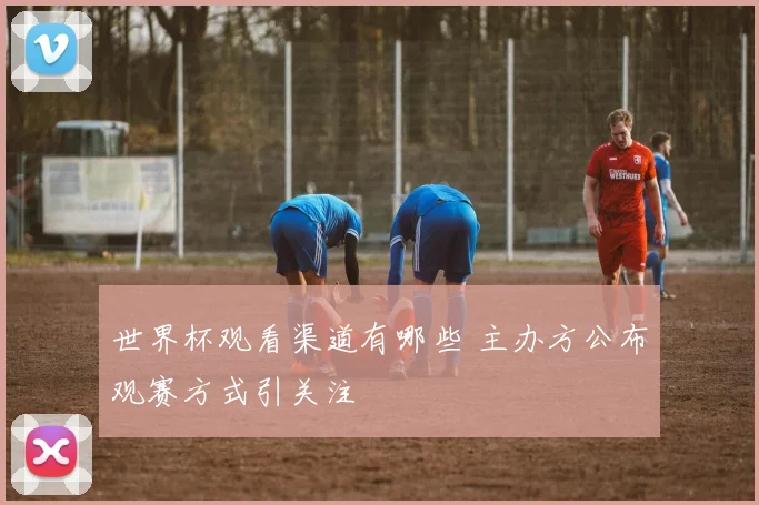 世界杯观看渠道有哪些 主办方公布观赛方式引关注